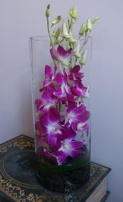 Orchids in cylinder