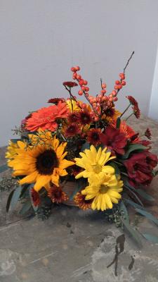 colors of Autumn